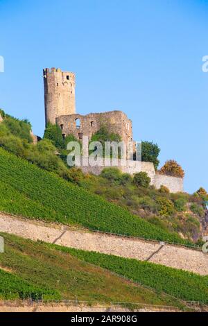 Le château historique de Maus, Sankt Goar Allemagne, vu depuis le long du Rhin Banque D'Images