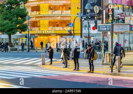 Tokyo, JAPON, JANVIER - 2019 - Peu de personnes attendent de traverser le célèbre trottoir du quartier de shibuya, tokyo, japon Banque D'Images