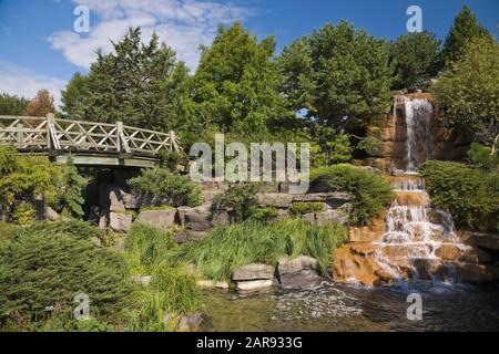Passerelle en bois au-dessus d'un ruisseau avec cascade bordée de conifères et de feuillus, plantes vivaces et arbustes dans le jardin alpin Banque D'Images
