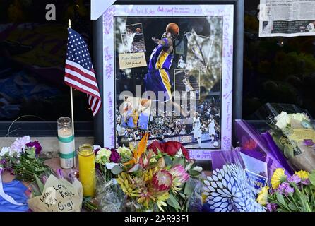 Dossier : Calabasas, États-Unis. 26 janvier 2020. Des fleurs se trouvent à l'extérieur de l'entrée de l'Académie des sports de Mamba à Thousand Oaks, en mémoire de Kobe Bryant, mort dans un accident d'hélicoptère à Calabasas, Californie, le dimanche 26 janvier 2020. M. Bryant a été tué lors d'un accident d'hélicoptère avec sa fille de 13 ans Gianna à Calabasas, en Californie, le 26 janvier 2020. Photo de John McCoy/UPI crédit: UPI/Alay Live News Banque D'Images