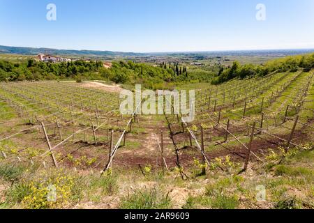 Paysage de collines de Valpolicella, la viticulture Italienne, Italie. Paysage rural Banque D'Images