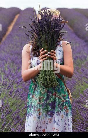 Une jeune fille avec un bouquet de lavande se tient au milieu d'un champ de lavande Banque D'Images