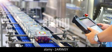 Manager contrôle et contrôle l'automatisation transfert des boîtes de produits alimentaires sur les systèmes de convoyeurs automatisés en usine Banque D'Images
