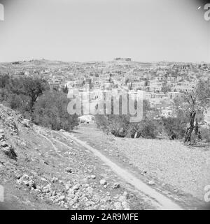 Moyen-Orient 1950-1955 : Jordanie - Hébron vue de la ville d'Hébron Annotation: Au moment de l'enregistrement, cet endroit était en Jordanie Date: 1950 lieu: Hébron, Palestine, Jordanie mots clés: Panorama, villes Banque D'Images