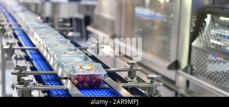 Produits alimentaires de ticket de transfert sur les systèmes de convoyage automatisés pour l'automatisation industrielle Banque D'Images