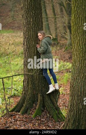 jeune fille à poil long hople un arbre dans la forêt d'automne Banque D'Images