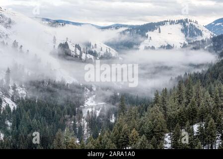 Brouillard dans le canyon de la rivière Minam, montagnes de Wallowa, Oregon. Banque D'Images