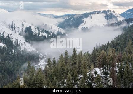 Brouillard dans le canyon de la rivière Minam, montagnes de Wallowa, Oregon. Banque D'Images