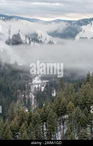 Brouillard dans le canyon de la rivière Minam, montagnes de Wallowa, Oregon. Banque D'Images