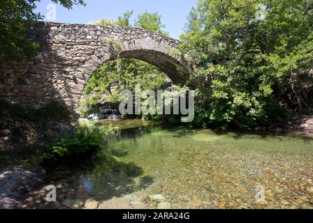 Vieux pont de pierre Pont de Muricciolu sur le ruisseau de montagne Viru, Albertacce, Corse, France Banque D'Images
