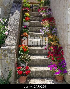 Pots de fleurs sur les escaliers avec fleurs colorées, Angles-sur-l'Anglin, Département Vienne, France Banque D'Images