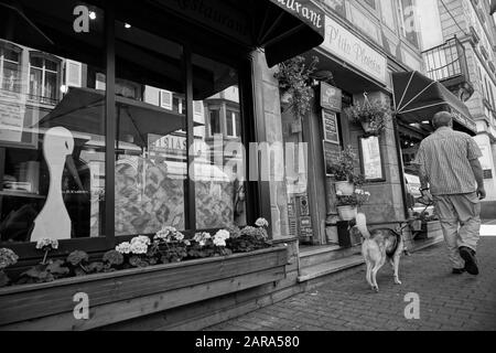 Homme marchant chien, près de Storkensohn, Haut Rhin, Grand est, France, Europe Banque D'Images