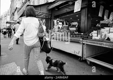 Femme marchant chien sur le pavé, magasin De Fruits, rue Saint Antoine, Paris, France, Europe Banque D'Images