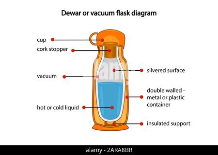 Diagramme de vase de Dewar ou de flacon à vide isolé sur fond blanc. Vue en coupe transversale de la fiole à vide thermos. Schéma montrant les couches de la fiole à vide. Illustration de Vecteur