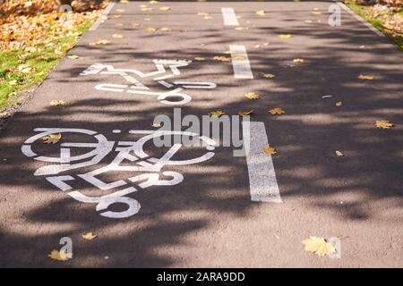 Un panneau pour cyclistes dessiné par peinture blanche sur une route dans un parc. Route pour les vélos et le jogging dans le parc de la ville à proximité Banque D'Images