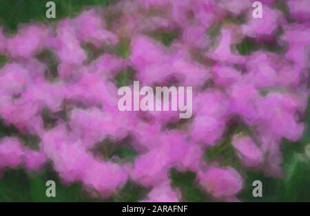 Peinture à l'eau fond avec fleurs de tulipe violettes dans le jardin du printemps aux Pays-Bas.Illustration avec tulipes peintes faites avec filtre à peinture à l'huile f Banque D'Images