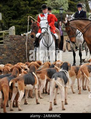 huntsman et pack de tours Banque D'Images