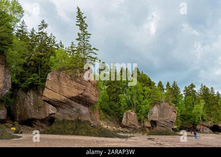 Les rochers de Hopewell, appelés couramment les Rochers De Fleurs, sont des formations rocheuses causées par l'érosion des marées dans Le Sit d'exploration des marées de Hopewell Rocks Banque D'Images