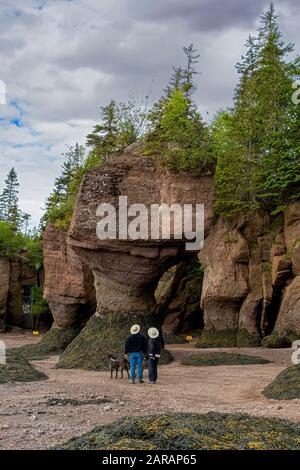 Les rochers de Hopewell, appelés couramment les Rochers De Fleurs, sont des formations rocheuses causées par l'érosion des marées dans Le Sit d'exploration des marées de Hopewell Rocks Banque D'Images