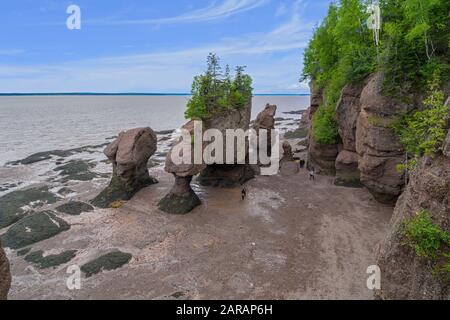 Les rochers de Hopewell, appelés couramment les Rochers De Fleurs, sont des formations rocheuses causées par l'érosion des marées dans Le Sit d'exploration des marées de Hopewell Rocks Banque D'Images