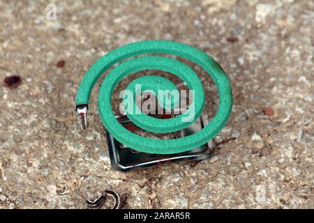 Brûlez un moustique en spirale vert foncé sur un support métallique laissé sur des marches en béton pour repousser les moustiques et les insectes le jour chaud de l'été Banque D'Images