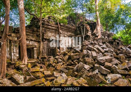 Envahi par les ruines du temple de Beng Mealea site dans la région de Siem Reap, Cambodge Banque D'Images