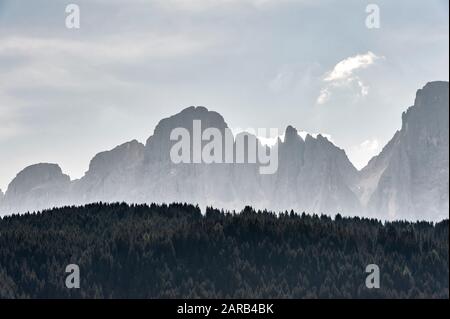 Les Dolomites, Trentin, Italie. Forêts du Parco Naturale Paneveggio, sous les pics accidentés du Pale di San Martino (été) Banque D'Images