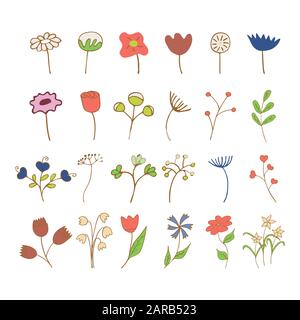 Ensemble de fleurs et de brindilles de printemps et d'été sur fond blanc. Tulipe, Daisy, Dandelion, coton, Rose, jonquille, nénuphars de la vallée, fleur de maïs, vib Illustration de Vecteur