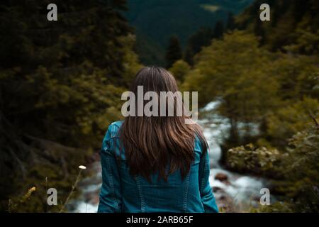 Vue arrière de la jeune femme en regardant vers le ruisseau sur le ruisseau Banque D'Images