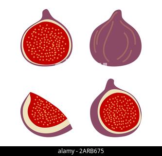 Figues isolées, illustration vectorielle colorée. Collection de figues entières et coupées en tranches isolées sur fond blanc Illustration de Vecteur