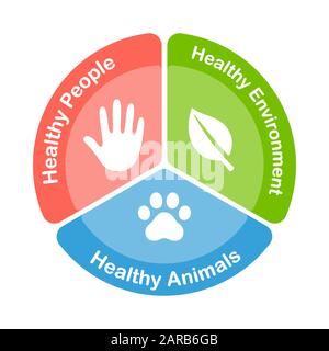 Un diagramme infographie sur la santé. Trois secteurs avec des icônes des domaines de santé mondiaux : les personnes en santé, les animaux et l'environnement. Illustration de clip vectoriel Illustration de Vecteur