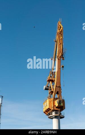 Grue à tour jaune sur les chantiers navals de Celaya dans la rivière Nervion à Erandio, Bizkaia Banque D'Images