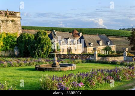 France, Indre et Loire, Chancellerie, jardins du Château de Valmer, terrasse des fontaines florentine, frontières des fleurs annuelles et château commun // Fran Banque D'Images