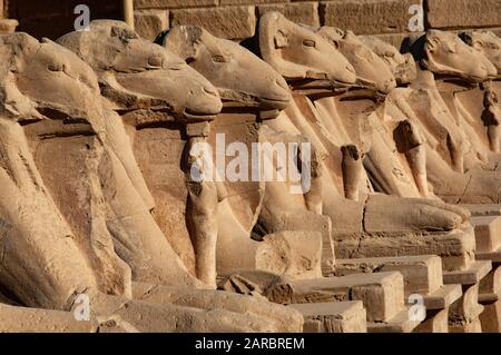Louxor, Egypte. 11 février 2009 l'avenue des Sphinxes du temple de Louxor aux inscriptions pharaoniques de Karnak sur les ruines égyptiennes anciennes à côté de th Banque D'Images