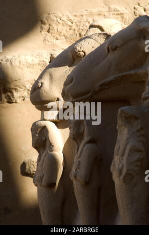 Louxor, Egypte. 11 février 2009 l'avenue des Sphinxes du temple de Louxor aux inscriptions pharaoniques de Karnak sur les ruines égyptiennes anciennes à côté de th Banque D'Images