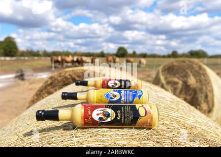 Altenweddingen, Allemagne. 2 septembre 2019. Sur une balle de paille se trouvent trois bouteilles de liqueur d'oeuf de la production de Geflügelhof Braune. La société traditionnelle avait renommé ses produits "EUlikör" pour une courte période parce que, selon un arrêt de la Cour de justice européenne, aucun produit laitier n'était autorisé à être présent dans la liqueur d'œufs. Ce règlement est maintenant hors de la table. Crédit: Stephan Schulz/dpa-Zentralbild/ZB/dpa/Alay Live News Banque D'Images