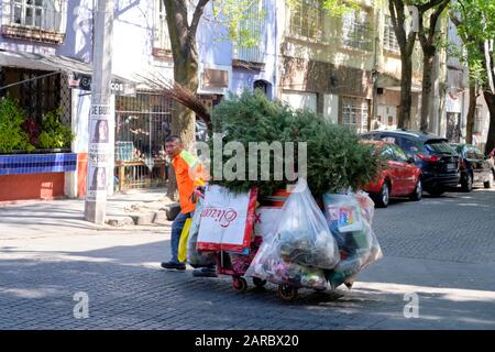 Balai de rue à Mexico, collecte des ordures de la rue, y compris un grand arbre de Noël Banque D'Images