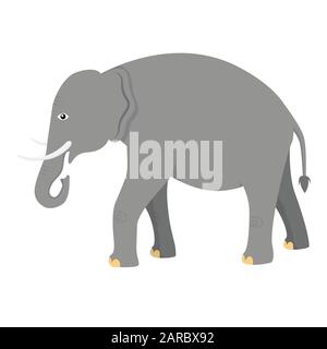 Éléphant d'Inde. Petit joli éléphant indien. Illustration vectorielle Illustration de Vecteur