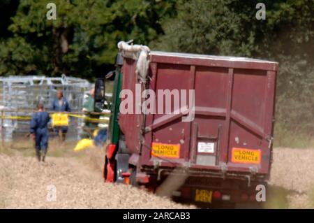 Le bétail mort enlevé par DEFRA d'une ferme en Normandie à Surrey, scène de la deuxième éclosion de fièvre aphteuse en 2007. Banque D'Images