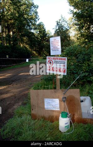 Le bétail mort enlevé par DEFRA d'une ferme en Normandie à Surrey, scène de la deuxième éclosion de fièvre aphteuse en 2007. Banque D'Images