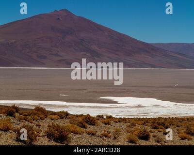 Salar Del Rincon sur la Ruta 51, Argentine Banque D'Images