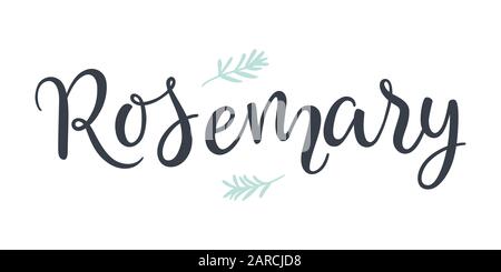 Texte romarin lettres dessinées à la main isolées sur fond blanc. Illustration de Vecteur