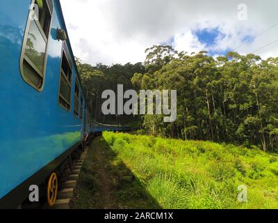 Le train de passagers avec les touristes passe à travers le vert la jungle du Sri Lanka. Banque D'Images