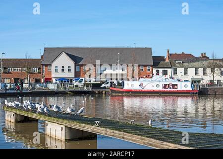 La cale de Shakee vend de la glace et des friandises sur le bassin du canal de la rivière Avon, Stratford on Avon, Angleterre, Royaume-Uni avec des mouettes sur le ponton en premier plan. Banque D'Images