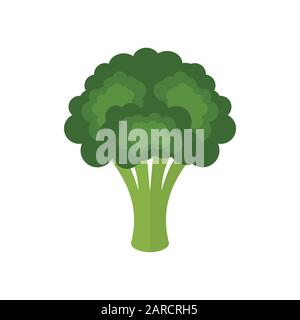 Légumes verts frais brocoli isolés sur fond blanc. Icône brocoli. Brocoli coloré de dessin animé. Des aliments sains. Brassica oleracea var. Italica Illustration de Vecteur