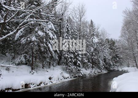 L'hiver Banque D'Images