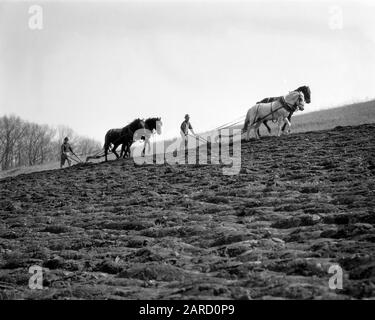 ANNÉES 1920 ANNÉES 1930 DEUX AGRICULTEURS ANONYMES À SILHOUETTÉS, CHACUN DERRIÈRE UNE ÉQUIPE DE DEUX CHEVAUX, PLANTANT UN CHAMP POUR SE PRÉPARER À LA PLANTATION DE PRINTEMPS - F209 HARS 001 ESPACE DE COPIE HARS PERSONNES DE PLEINE LONGUEUR HOMMES PAYSAGÉS SPIRITUALITÉ HOMMES D'ÂGE MOYEN AGRICULTURE B&W HOMME D'ÂGE MOYEN NUAGES GRAND ANGLE COMPÉTENCES MÉTIER MAMMIFÈRES PRÉPARER STRATÉGIE DE FORCE CHARRUE SILHOUETTED AGRICULTEURS PROGRÈS PUISSANTS TRAVAIL LABOURANT LA FIERTÉ DES PROFESSIONS CONCEPTUEL ANONYME CROISSANCE TERRAIN MAMMIFÈRE MILIEU ADULTE MOYENNE-ADULTE CHARRUE HOMME PRÉCISION PRINTEMPS ÉQUIPES DE TOGETHNESS NOIR ET BLANC CUMULUS HAR001 LABOURANT À L'ANCIENNE Banque D'Images