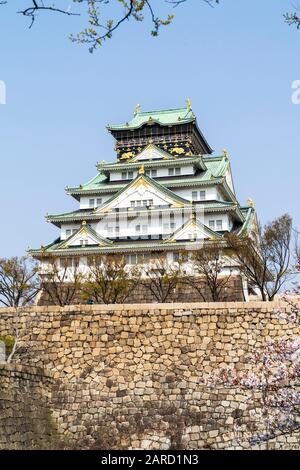 Le donjon de style borogata du château d'Osaka sur sa base en pierre de sangizumi vue du jardin de Nischinomaru contre fond de ciel bleu clair. Banque D'Images