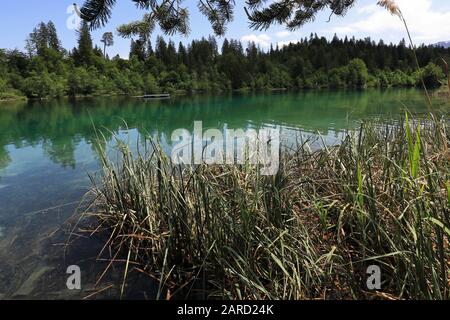 Magnifique lac Crestasee près du village de Flims, Suisse Banque D'Images