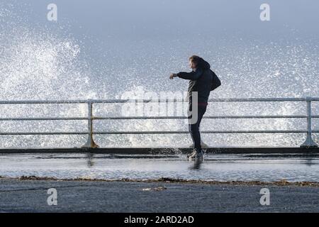 Aberystwyth Ceredigion Pays de Galles Royaume-Uni 17 janvier 2019: Un seul mâle sautant pour éviter les hautes vagues comme ils éclaboulent sur le mur de la mer. Banque D'Images